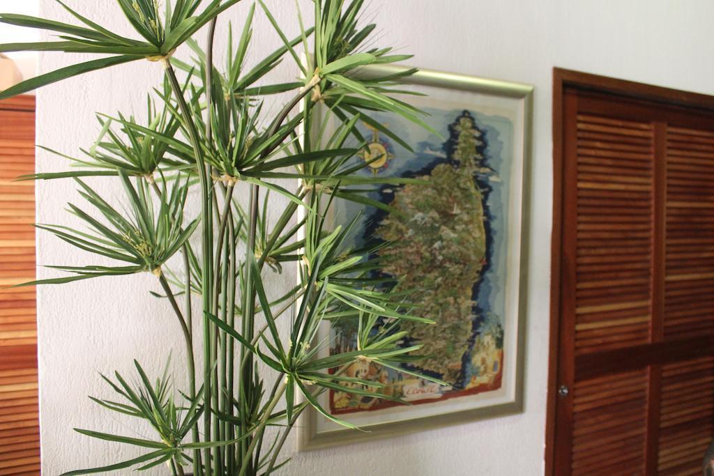 Hotel Fesch&spa Ajaccio (Corsica)